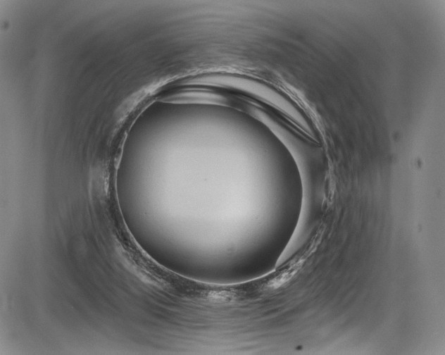 X0000084050060200702161517