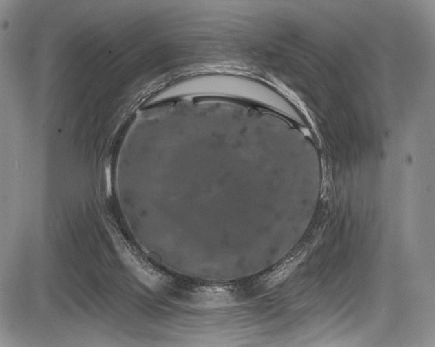 X0000084050061200702161517