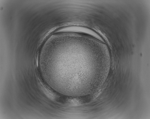 X0000084050062200702161517