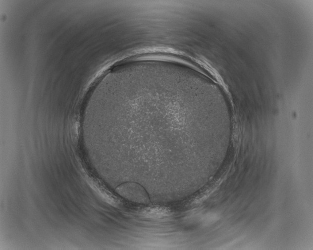 X0000084050063200702161517