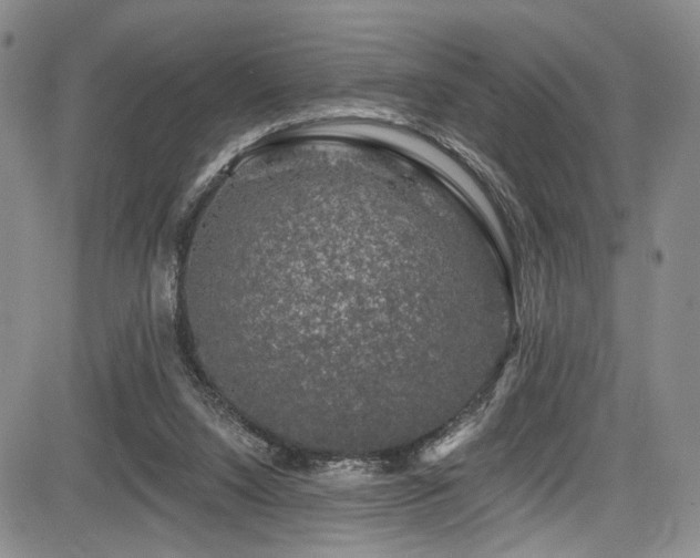 X0000084050064200702161517