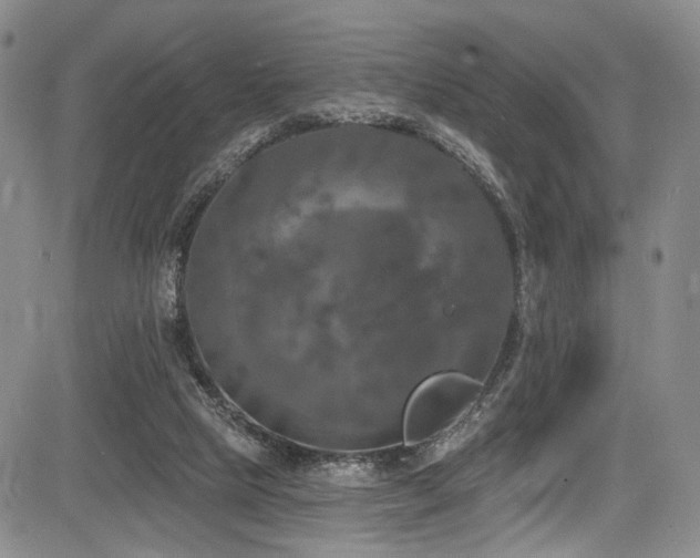 X0000084050065200702161517