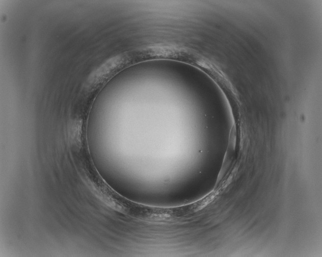 X0000084050066200702161517