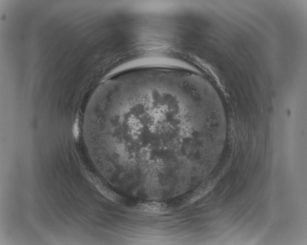 X0000084050069200702161517