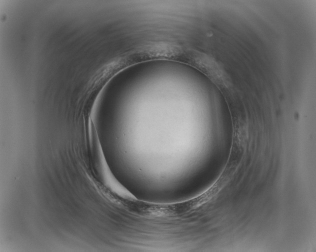 X0000084050070200702161517