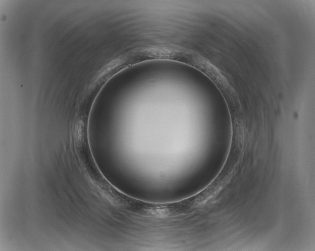 X0000084050071200702161517