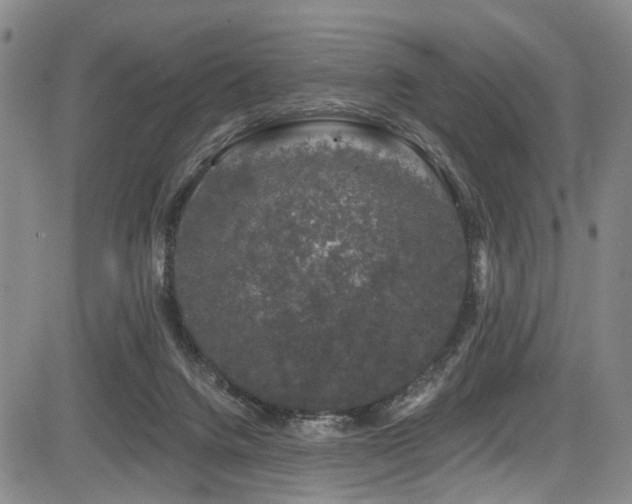 X0000084050072200702161517