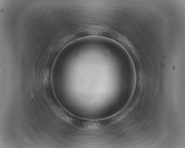 X0000084050073200702161517