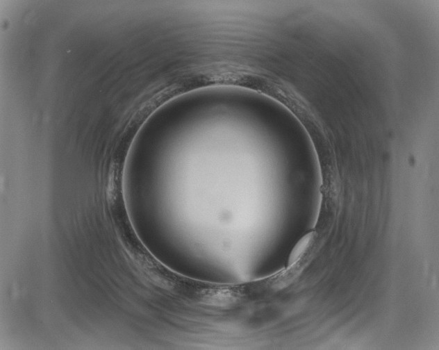 X0000084050074200702161517