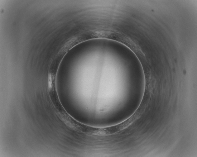 X0000084050075200702161517