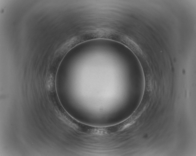 X0000084050077200702161517