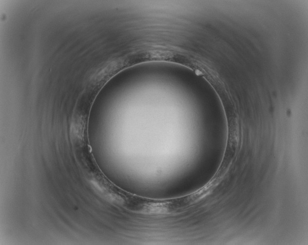 X0000084050078200702161517