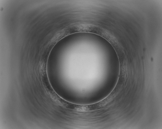 X0000084050079200702161517