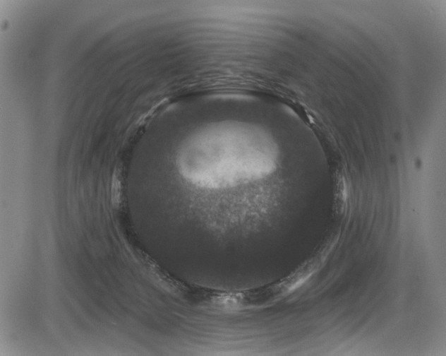 X0000084050080200702161517