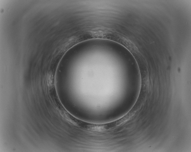 X0000084050081200702161517