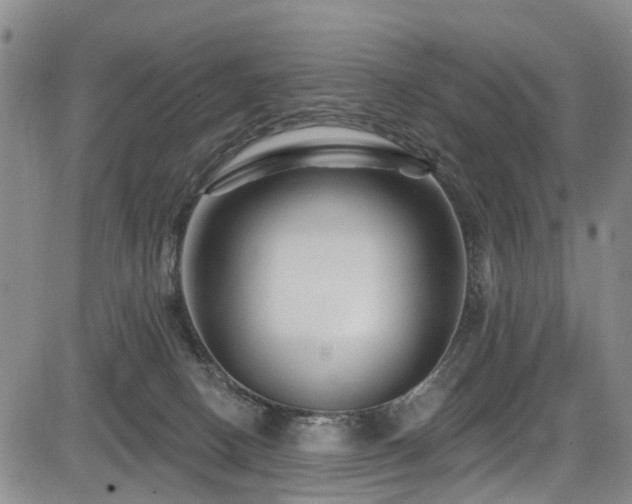 X0000084050082200702161517