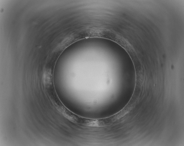 X0000084050083200702161517