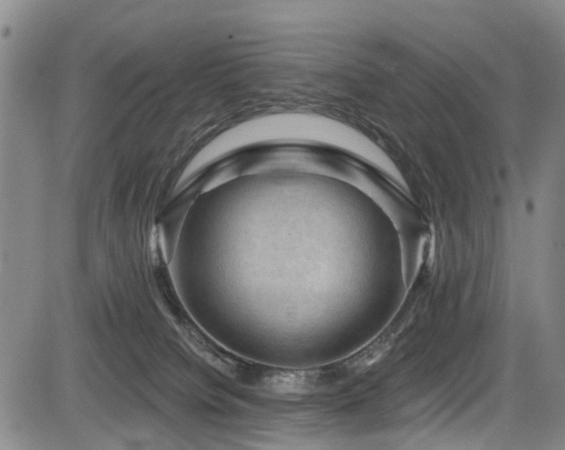 X0000084050084200702161517