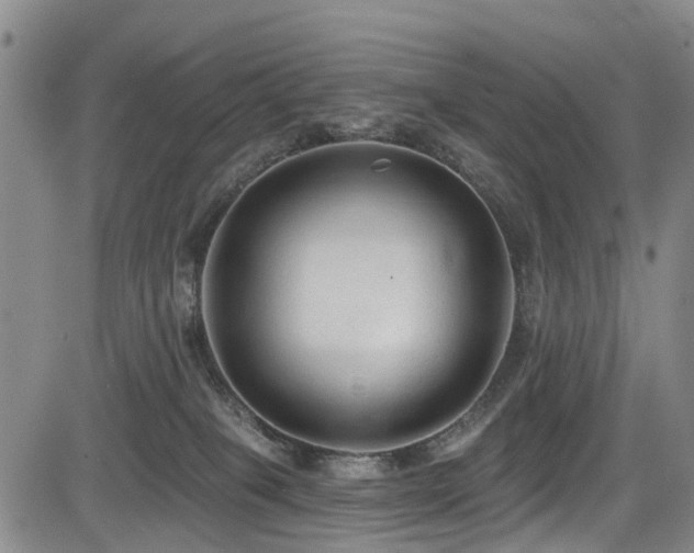 X0000084050085200702161517