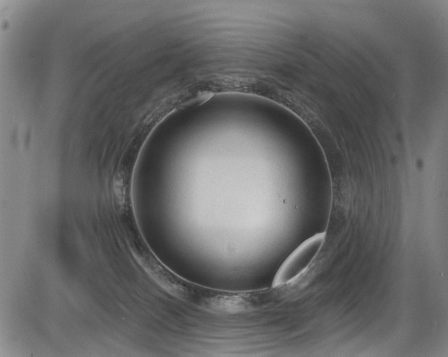 X0000084050086200702161518