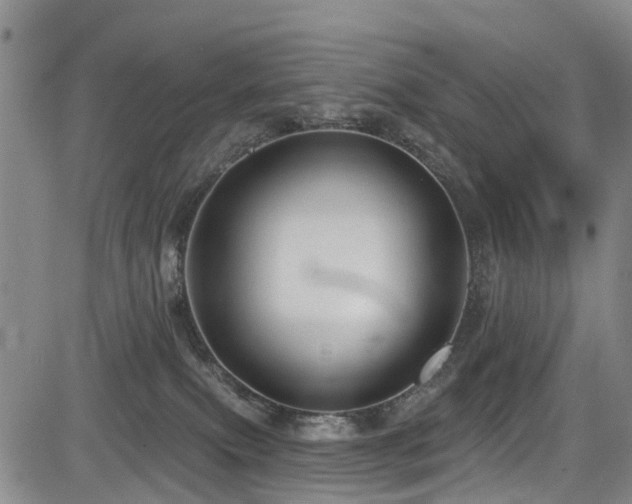 X0000084050087200702161518