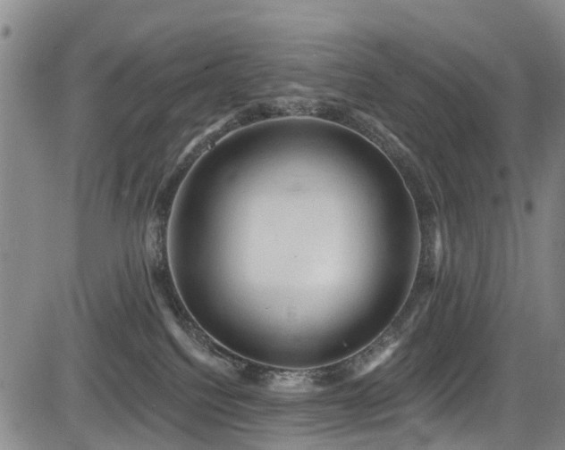 X0000084050088200702161518