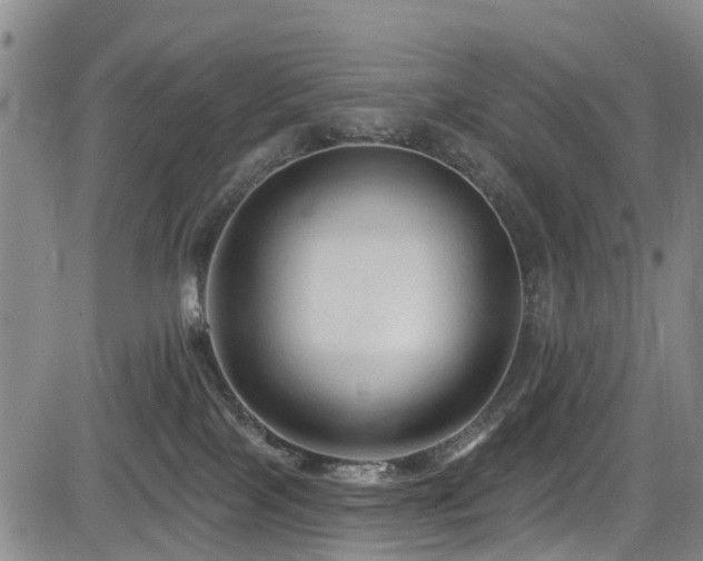 X0000084050089200702161518