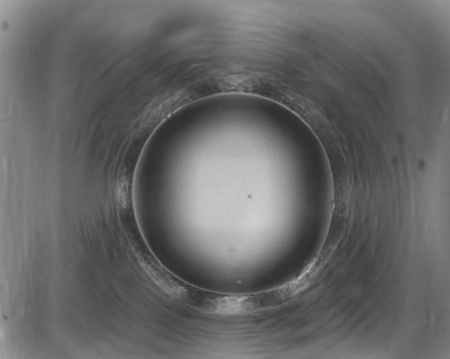 X0000084050090200702161518