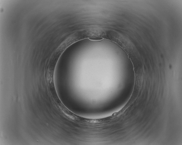 X0000084050091200702161518