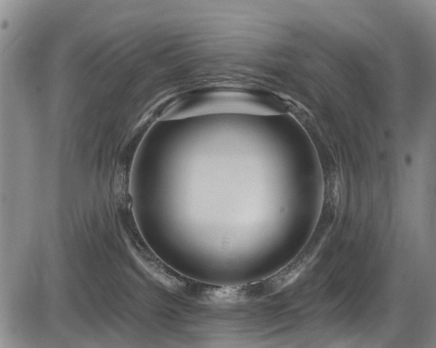 X0000084050092200702161518