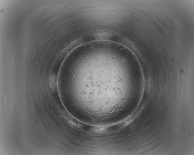 X0000084050093200702161518