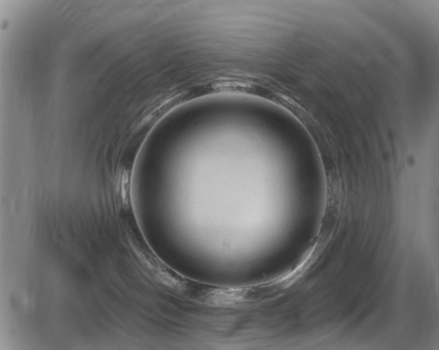 X0000084050094200702161518