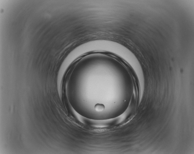 X0000084050095200702161518