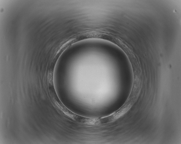 X0000084050096200702161518