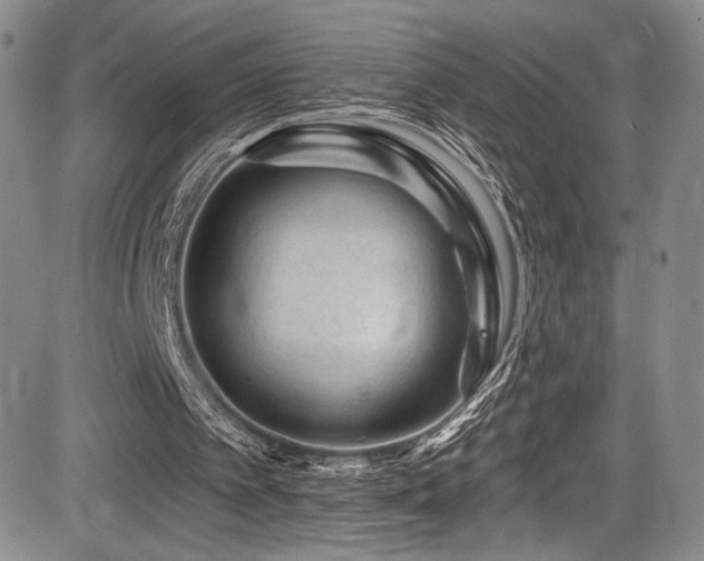 X0000084050097200702161517