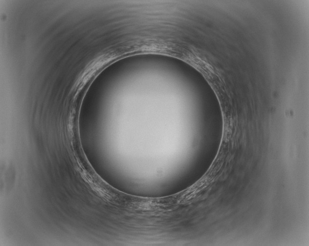 X0000084050098200702161517