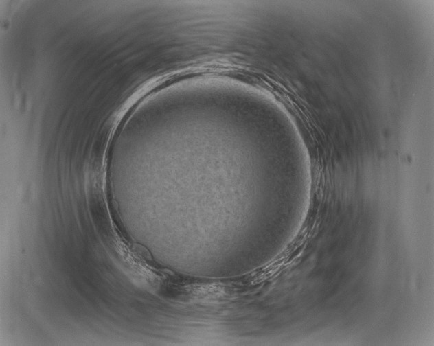 X0000084050100200702161517