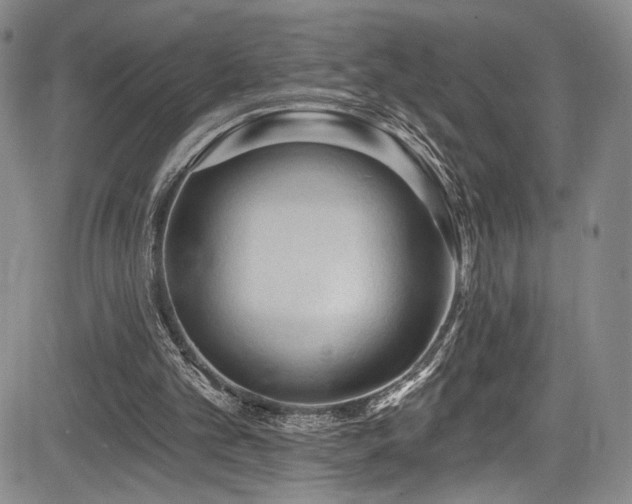 X0000084050101200702161517