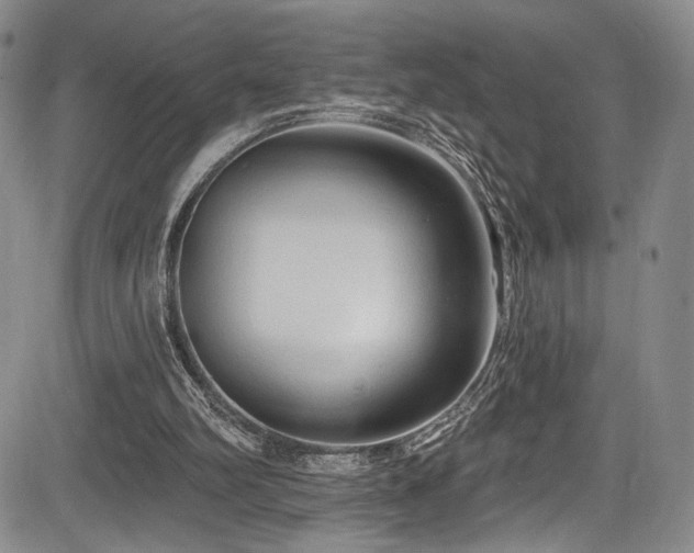 X0000084050102200702161517