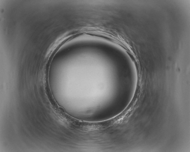 X0000084050103200702161517