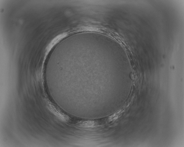 X0000084050104200702161517