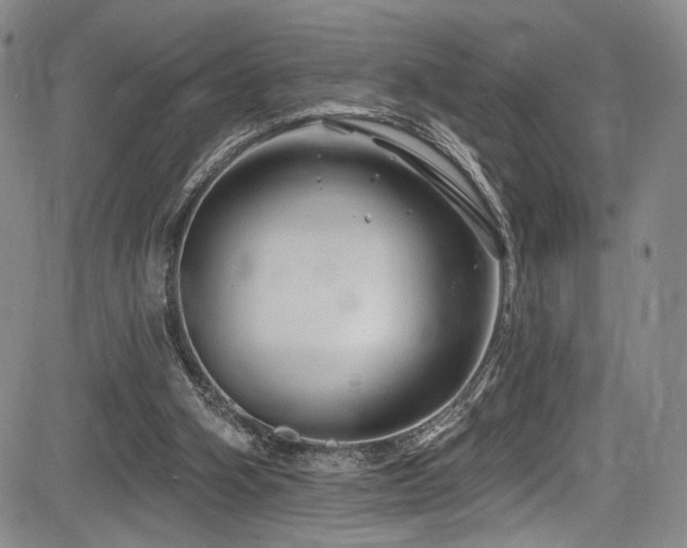 X0000084050106200702161517