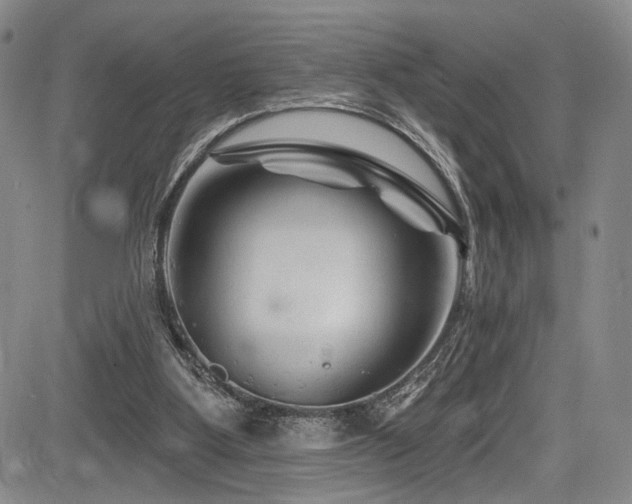 X0000084050107200702161517