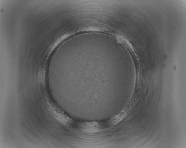 X0000084050108200702161517