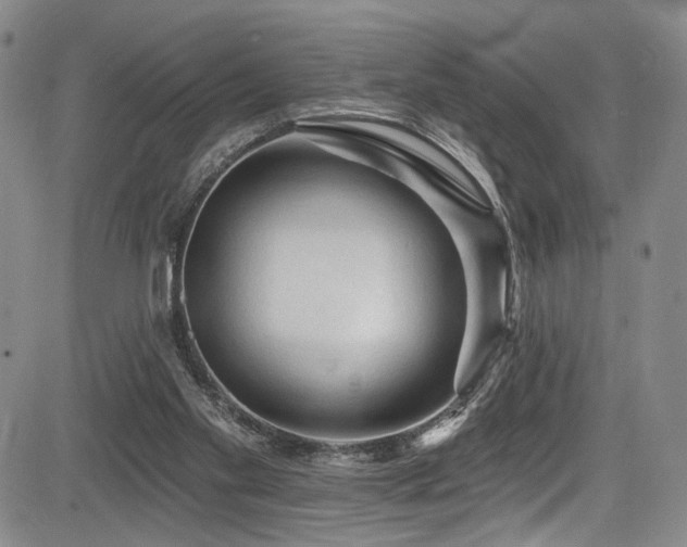 X0000084050109200702161517