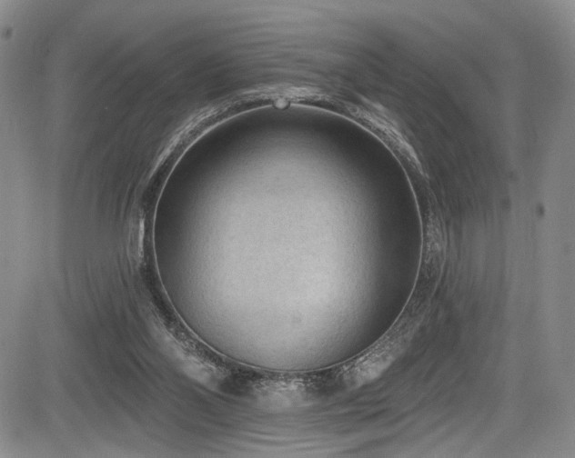 X0000084050110200702161517