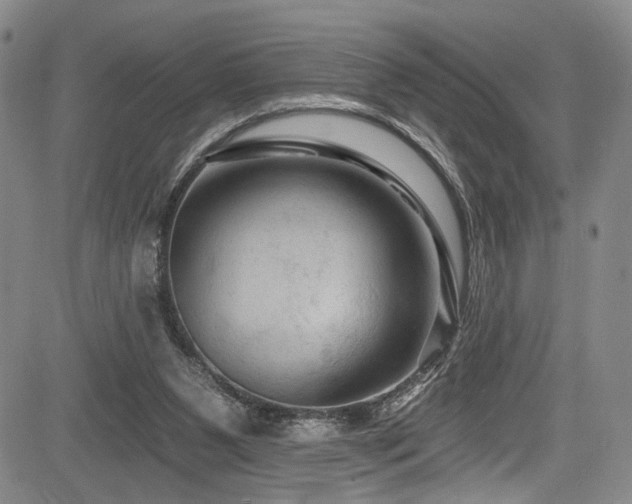 X0000084050111200702161517