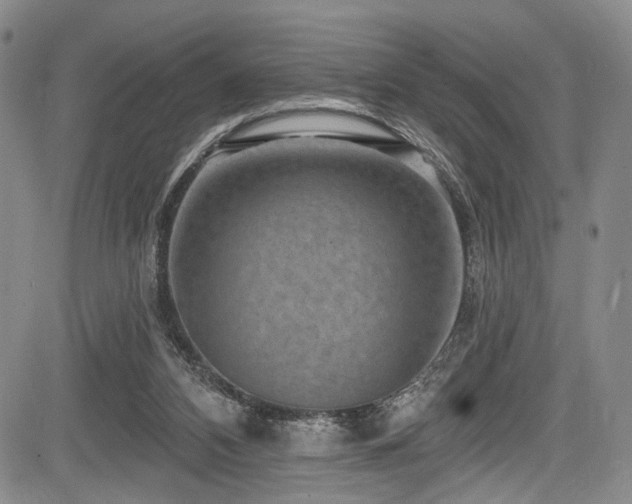 X0000084050112200702161517