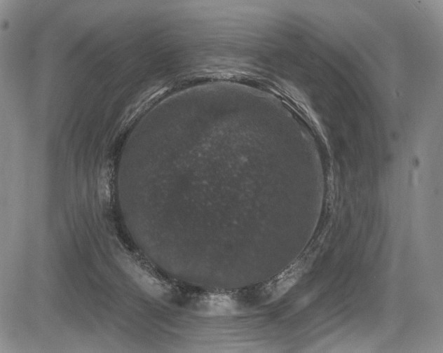 X0000084050114200702161517