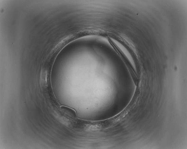 X0000084050115200702161517